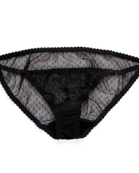 Sheer black lace panties