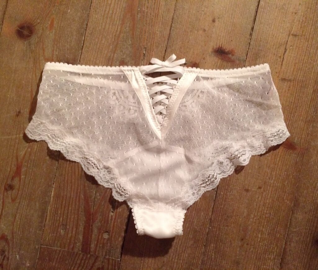 White Lace Sheer Panties French Cut Panties In White Lace Lace