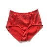 High waisted panties in red silk and lace retro