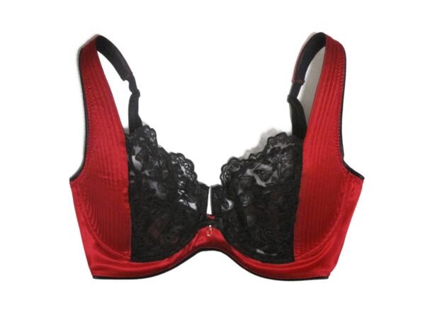 Plus size bra in sheer lace and red silk