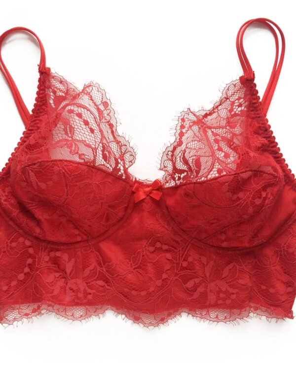 Red lace longline bra with underwire lace on silk