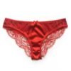 red Silk panties