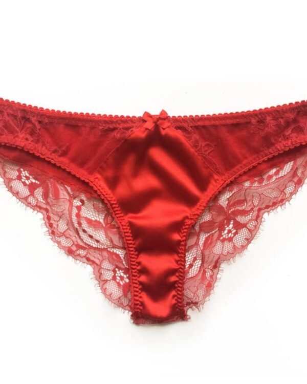 red Silk panties
