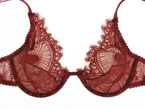 red lace plunge bra with underwires