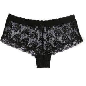 Sheer french cut panties in black stretch lace