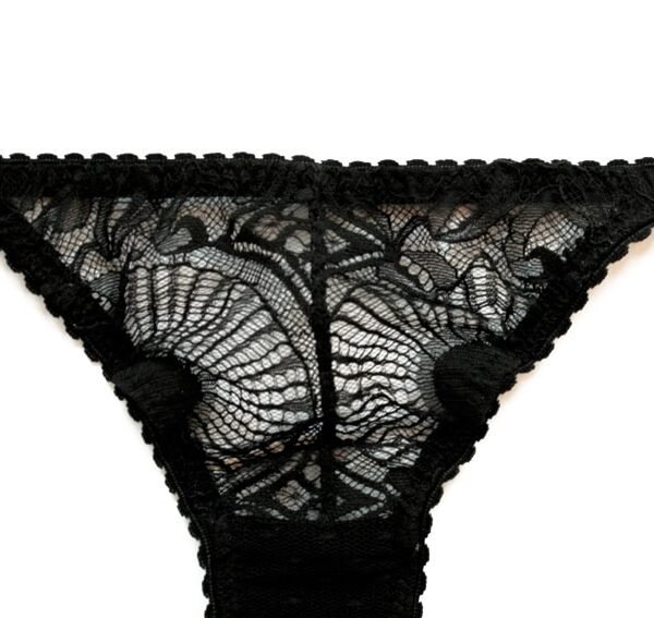 sheer lace see through panties in black lace