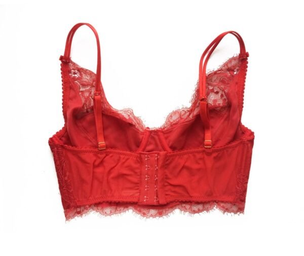 red lace and silk longline bra back closure