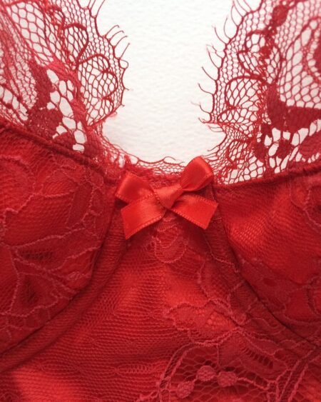 red lace and silk longline bra front bow