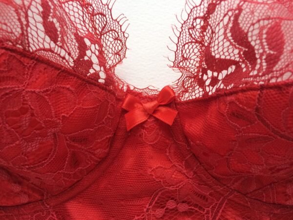 red lace and silk longline bra front bow