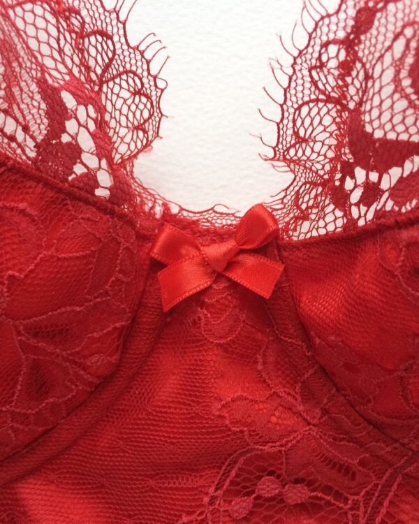 red lace and silk longline bra front bow