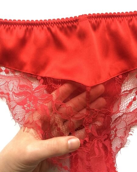 red lace panties back