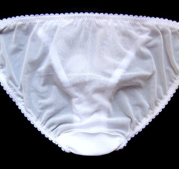 sheer white panties - see through knickers
