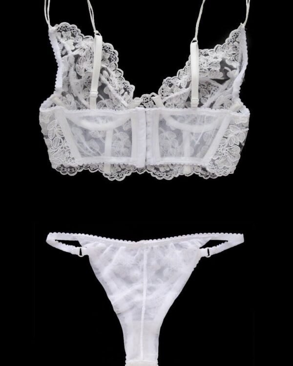white see through lingerie bra and tanga