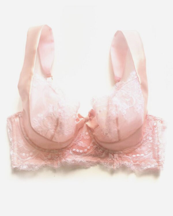 Pink Sheer bra - Lace bra - Silk Lingerie -  Pink bra - Lace bra in pink Leavers lace and silk