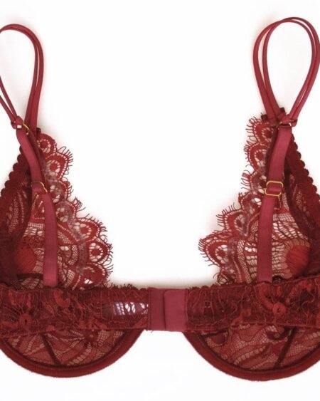 Dark red sheer bra back