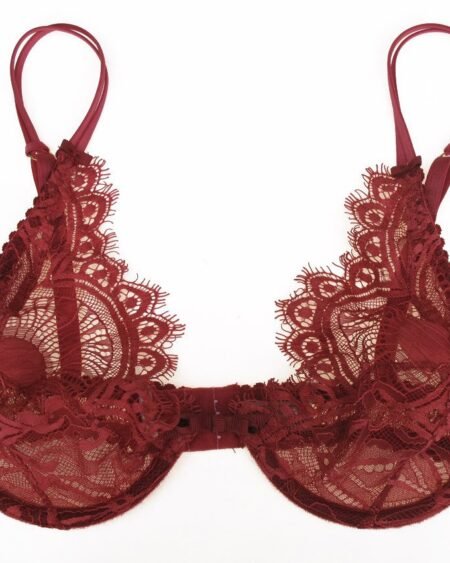 Dark red sheer bra front
