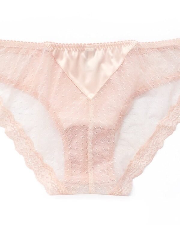 pink see through panties in lace and silk back