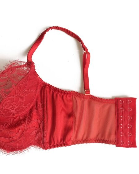 Red lingerie longline bra