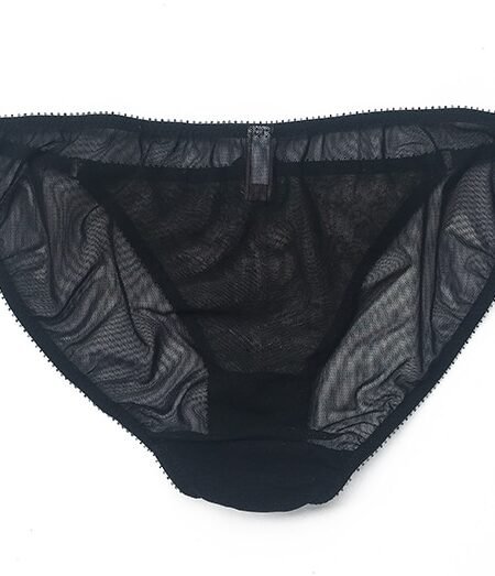 Sheer black panties back in mesh and lace