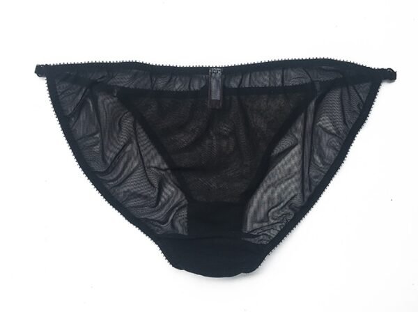 Sheer black panties back in mesh and lace
