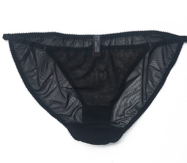Sheer black panties back in mesh and lace
