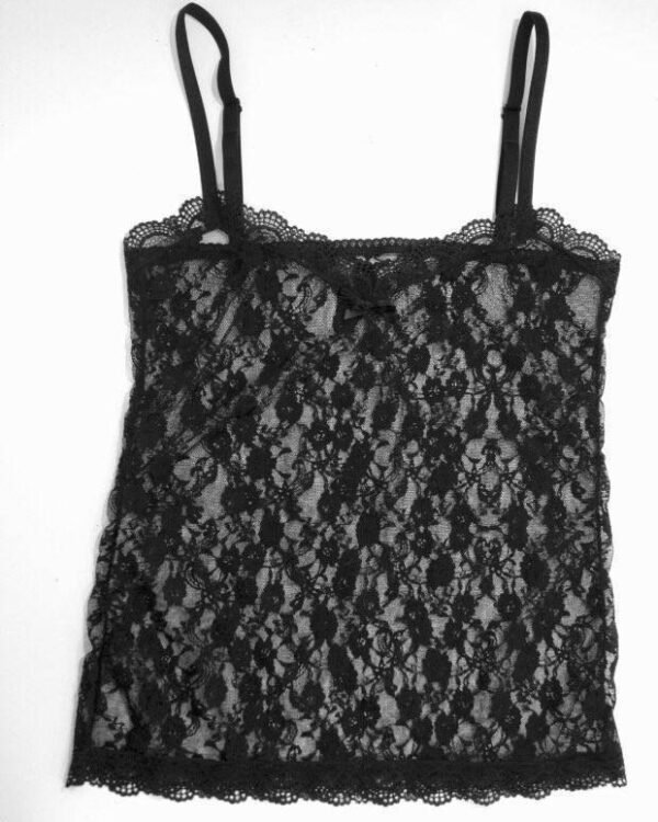 sheer black panties in lace