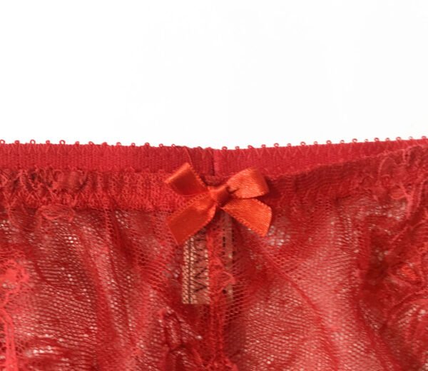 Sheer red panties with bow