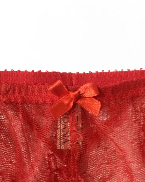 Sheer red panties with bow