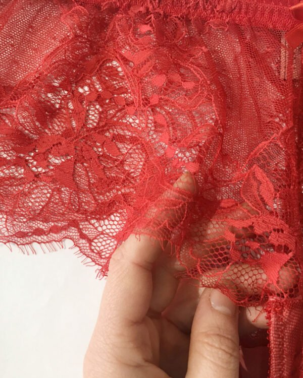 Red lace sheer panties details