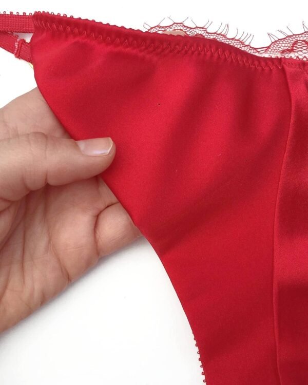 red silk panties high end lingerie back
