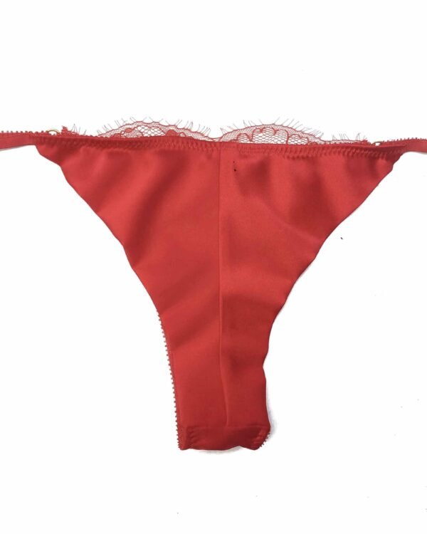 red silk panties back