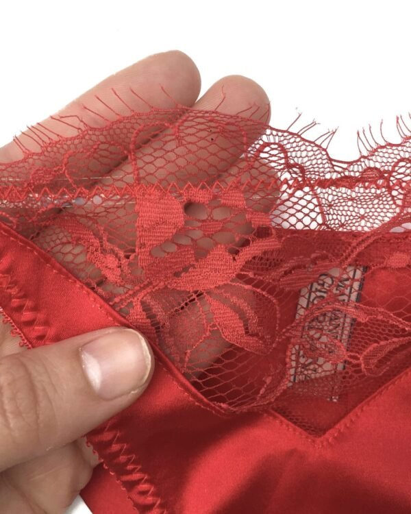 red silk panties details