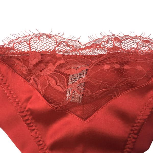 red silk panties and lace see through