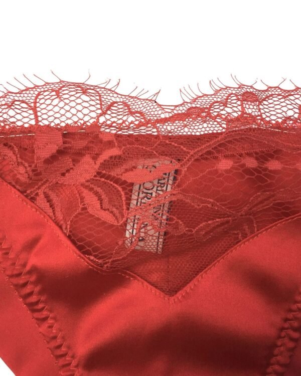 red silk panties and lace see through