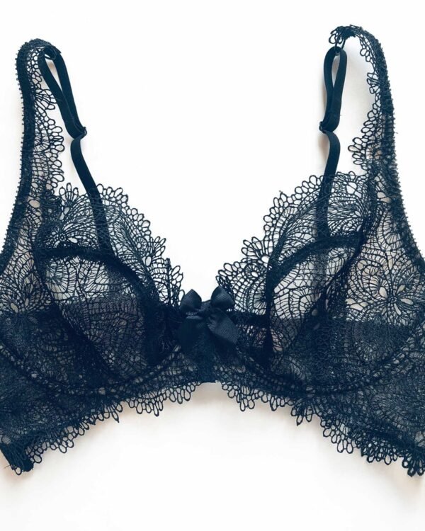 Plus size lace bra 2