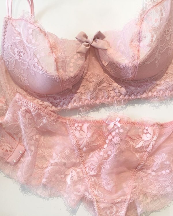 sheer pink lace bra and panties
