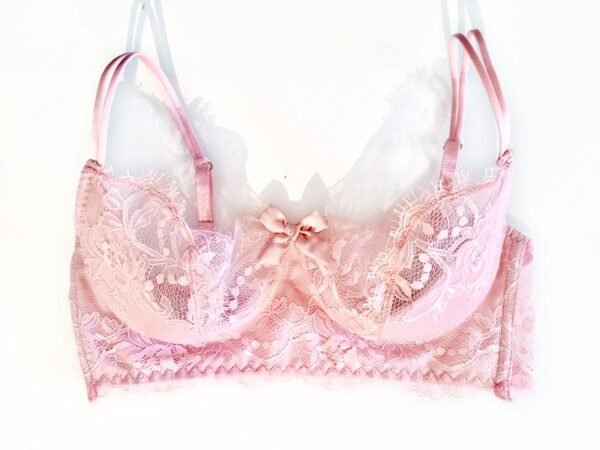 Sheer pink lace bra