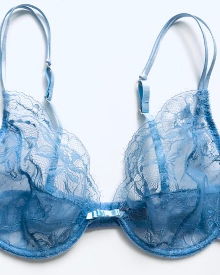 Blue sheer bra