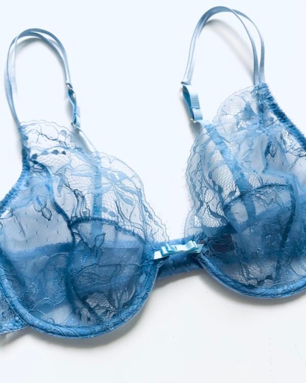 Blue sheer lace bra