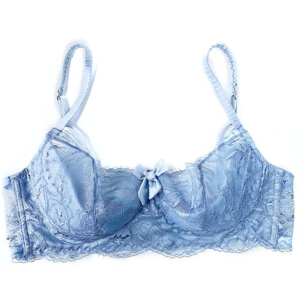 blue sheer lace padded bra