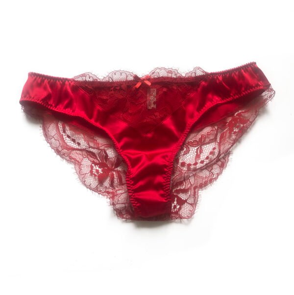 Red silk lingerie