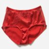 High waist silk panties - Silk red panties - Red lace high waist panties - Red lingerie