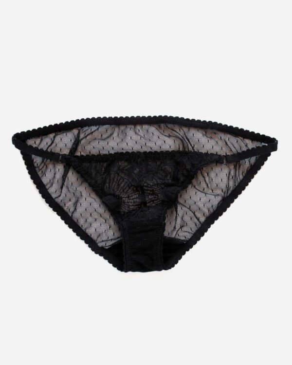 Low waist Lace Sheer Panties