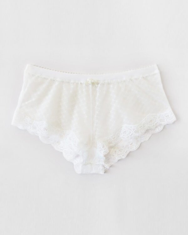 Ivory see thru panties - Sheer panties - Lace panties - In STOCK