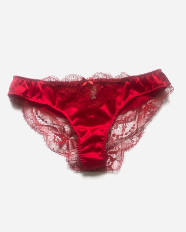 Red silk and lace panties - Red lace panties - Lace brief- Red silk lingerie