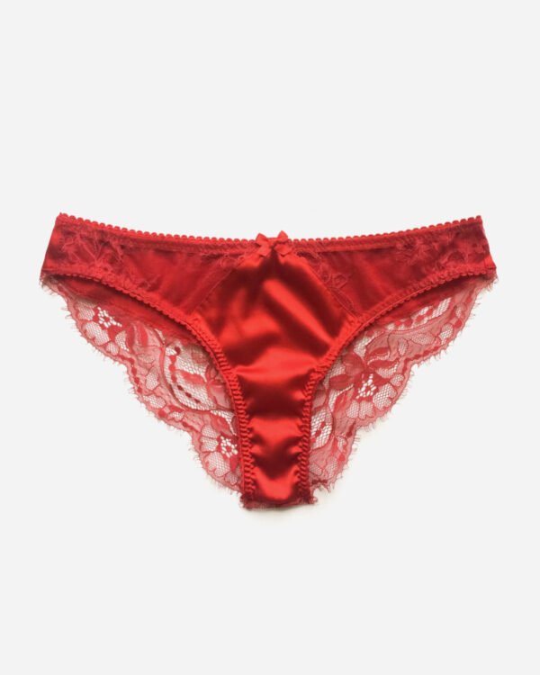 red lace and silk panties knicker