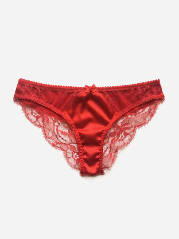 red lace and silk panties knicker